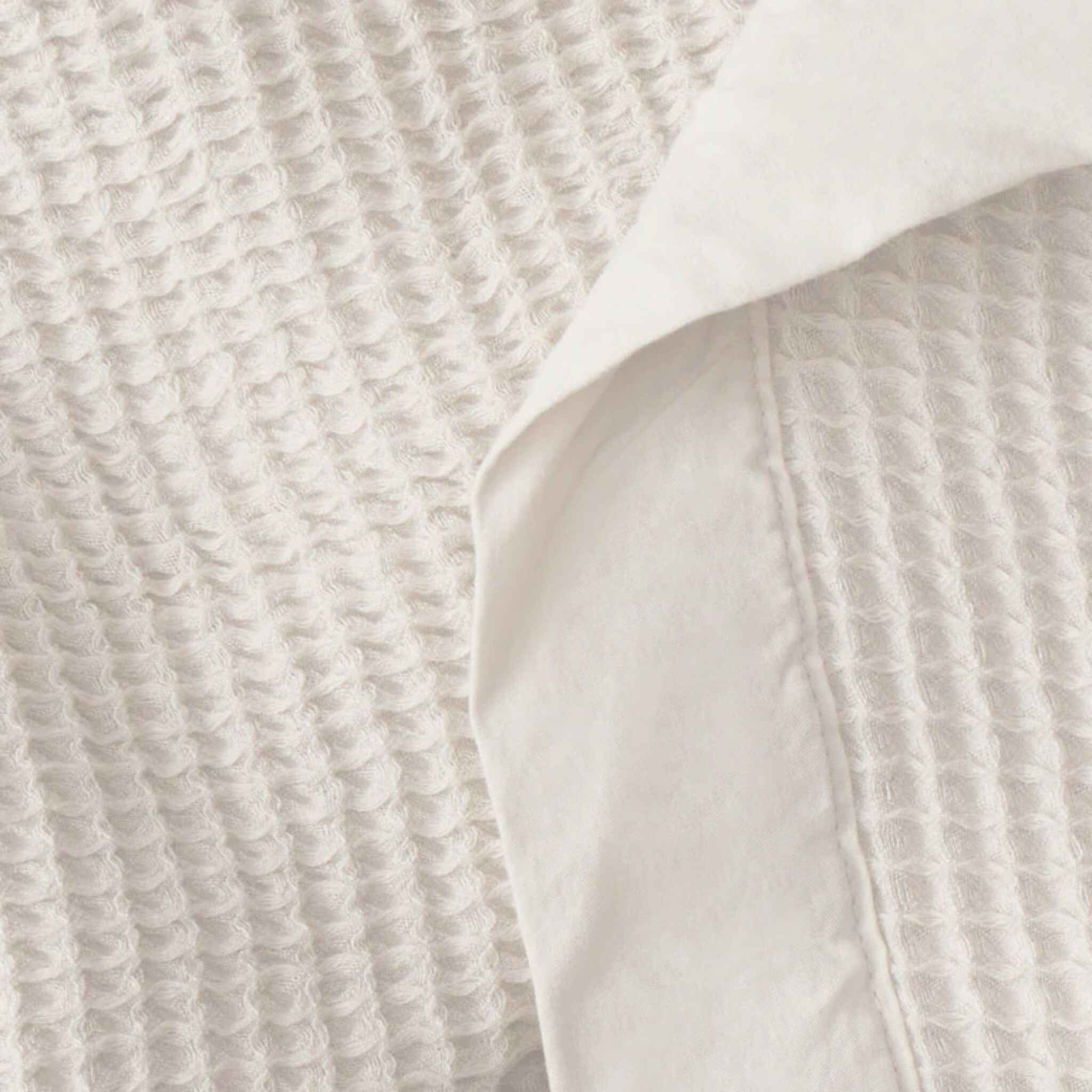 ivory2 (1)