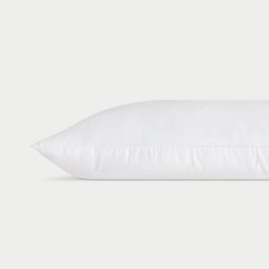 Bamboo Silk Pillow